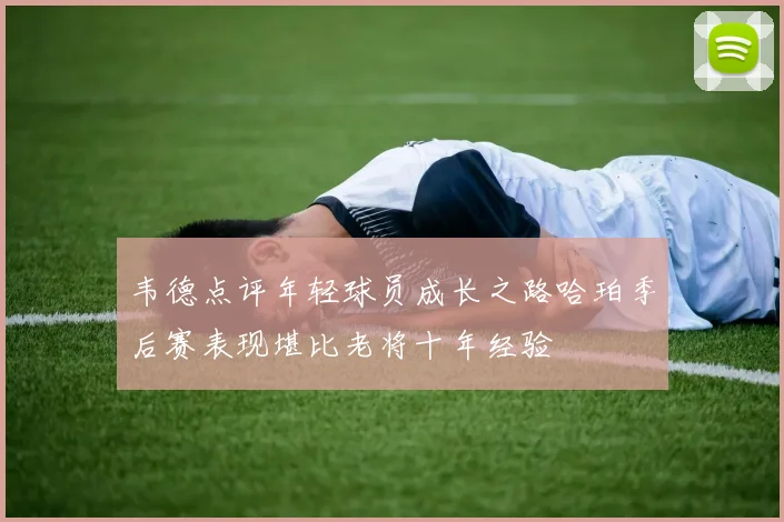 韦德点评年轻球员成长之路哈珀季后赛表现堪比老将十年经验