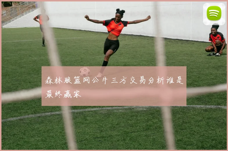 森林狼篮网公牛三方交易分析谁是最终赢家
